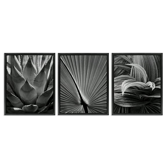 Stupell Industries Palm Frond Details Plants & Flowers Photography Black Floater Framed Canvas Art Print Wall Art, 17 x 21, Set of 3