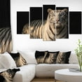 thumbnail image 3 of Design Art White Bengal Tiger on Black Canvas Print, 3 of 3