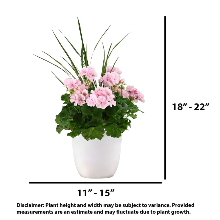 Expert Gardener 18