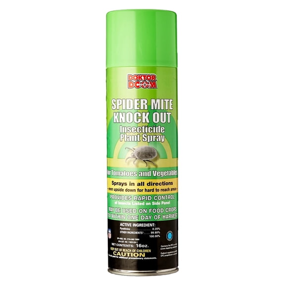Doktor Doom Spider Mite Knock Out Insect Killer Spray 16 oz