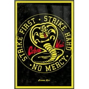Cobra Kai - Framed TV Poster (Emblem) (Strike First Strike Hard) (24" x 36") (Metallic Anthracite Plastic Frame)