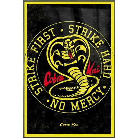 Cobra Kai - Framed TV Poster (Emblem) (Strike First Strike Hard) (24" x 36") (Metallic Anthracite Plastic Frame)
