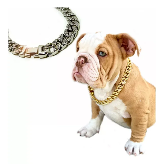 Collar Para Perro Cadena Cubana Dorada Todas Las Tallas