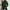 Army Green, variant on pstuiky Women Sweatshirts, Women Solid Color Round Neck Long Sleeve Sweatshirt Loose Fit Casual Plus Size Autumn Sweatshirt Women Hoodies for Women Clearance Army Green L