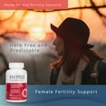 thumbnail image 2 of FH PRO Fertility Supplements for Men and Women, Hormone Balance for Women, Sperm Health for Men, 30 Day Supply, 2 of 11