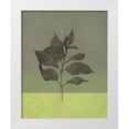 thumbnail image 1 of JMB Designs 12x14 White Modern Wood Framed Museum Art Print Titled - Green Leaves, 1 of 4