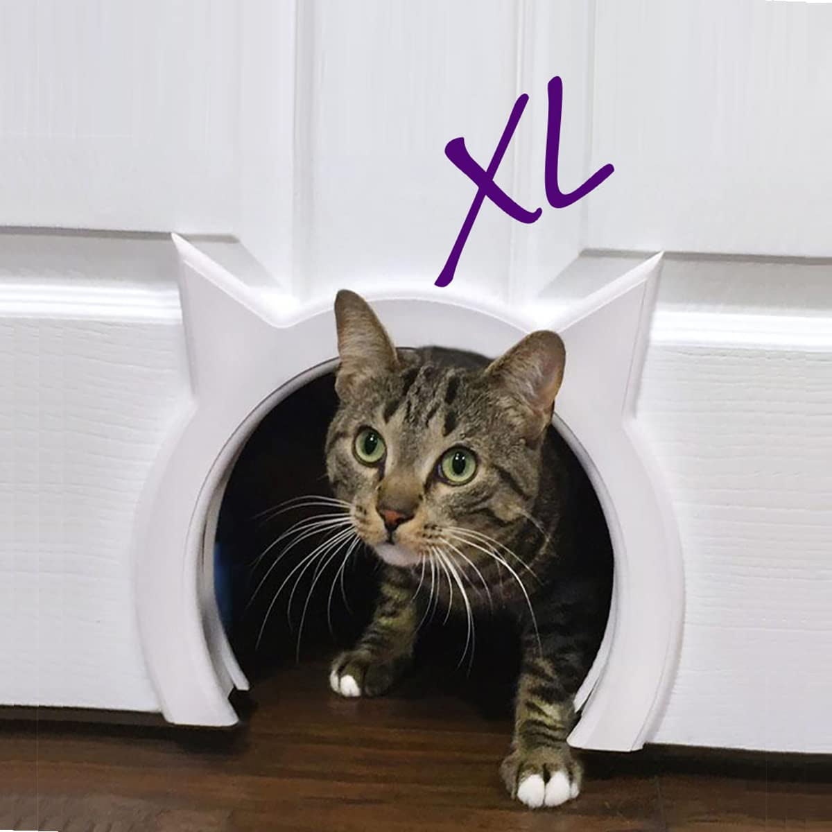 Hidden litter box for large cats best sale