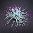 thumbnail image 1 of Simulation Anemone, Silicone Anemone, Silicone Luminous For Fish  Aquarium, 1 of 8