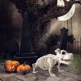 thumbnail image 5 of Halloween Skeleton Dog Prop Animal Bones Party Shop Decoration Horror, 5 of 5