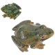 thumbnail image 1 of 2 piezas de microadornos de rana para paisajes, manualidades, decoración, figura de resina, modelo de animal de mesa, linda escultura, 1 of 6