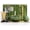 Green, variant on 7-Piece Complete Matcha Set with Ceramic Bowl & 100 Prong Whisk – Includes Whisk Holder, Scoop, Rest, Sifter & Tea Towel, CHADO Whisking Guide, Handcrafted Eco-Friendly Design（White）