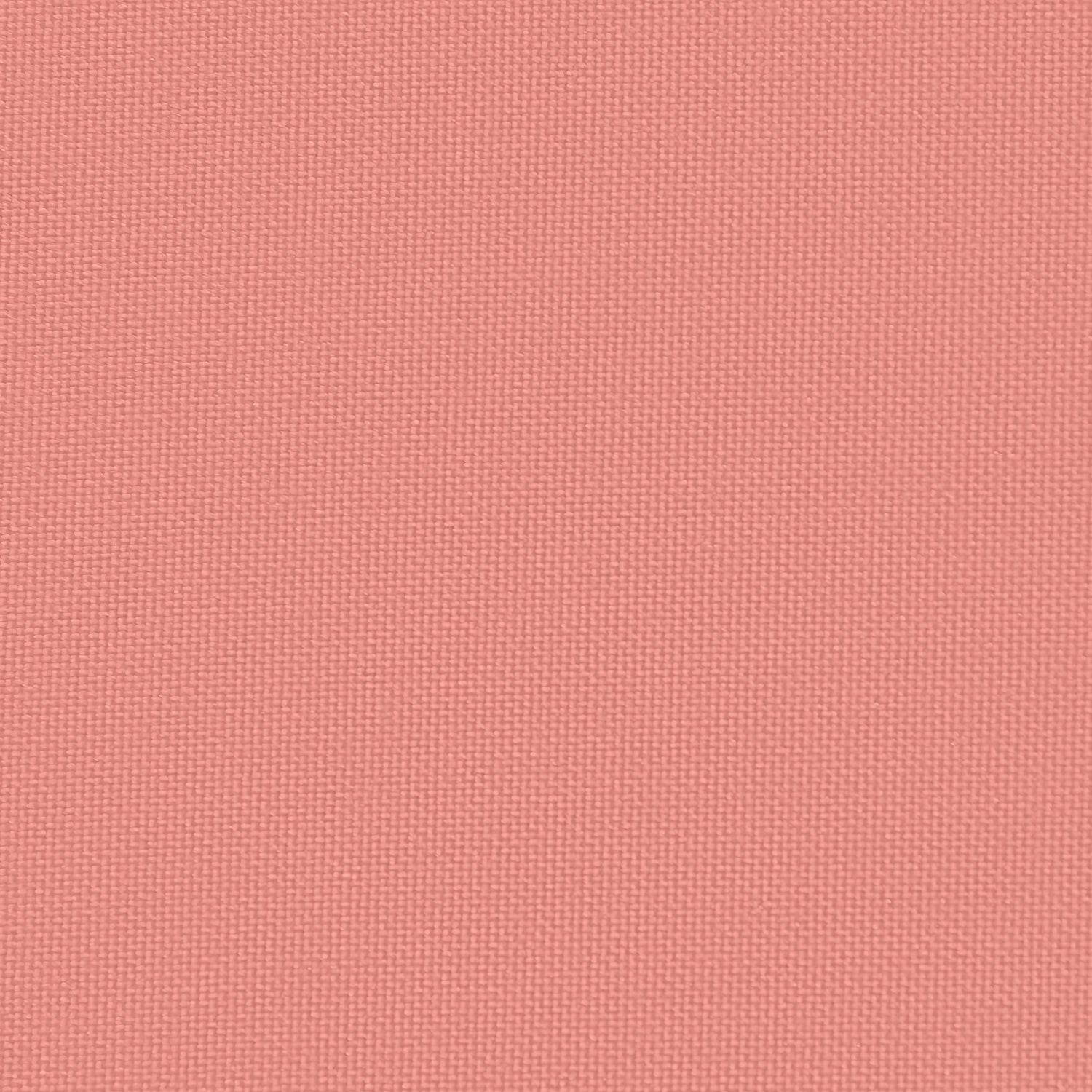 1621 Coral