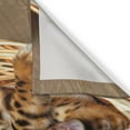 thumbnail image 3 of Ambesonne Kitten Kitchen Curtains, Bengal Cats in Basket, 55"x39", Brown Pale Brown Beige, 3 of 3