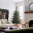 thumbnail image 4 of National Tree Company 7.5-Foot National 729083277757National, 4 of 6