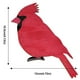 thumbnail image 2 of Toystoory Decoraciones artesanales de pájaro cardenal rojo, diseño de escena DIY, pájaros de en forma de decoración de Navidad, adorno de Kits de decoración para fiestas 1 PC Toystoory HA041315-01, 2 of 6