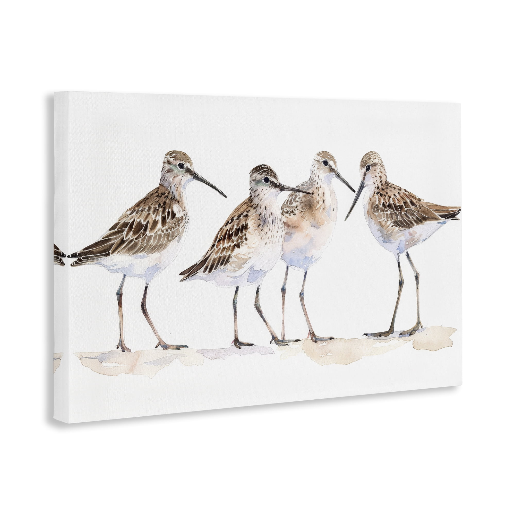 Stupell Industries Sand Pipers Gathered Animals Painting Wrapped Canvas Art Print Wall Art, 30 x 20