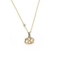 thumbnail image 1 of Collar con dije signo zodiaco Cancer chapa de oro 18k, 1 of 4