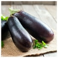 thumbnail image 5 of Everwilde Farms - 250 Florida Market Eggplant Seeds - Gold Vault Jumbo Bulk Seed Packet, 5 of 5