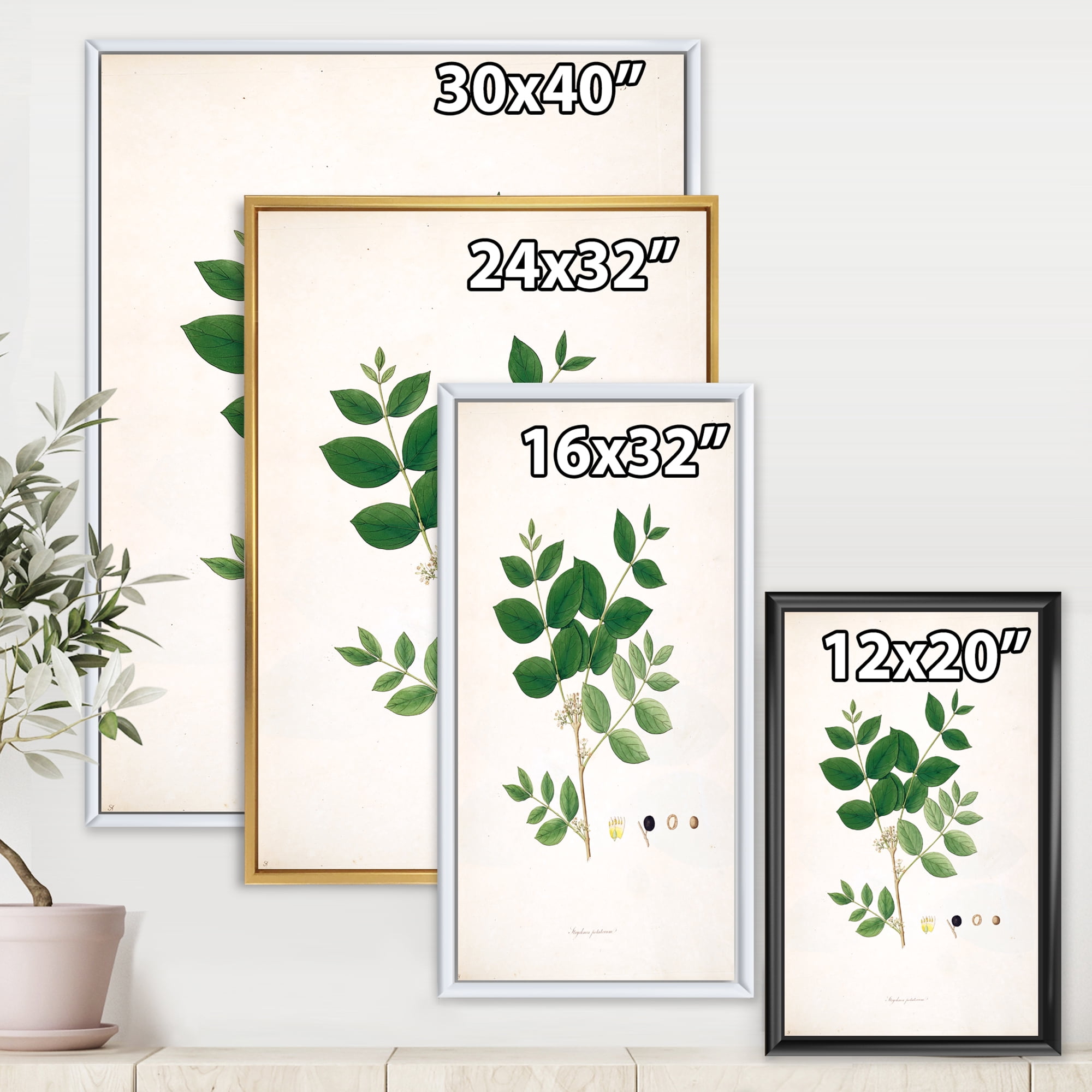 Designart 'Ancient Botanicals VI' Farmhouse Framed Canvas Wall Art Print