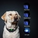 thumbnail image 5 of Dispositivo IP67 Impermeabilizante de Abrenamiento de Perros Recargable Autico Collar de Descarga Elechtrica Collar de Mascotas Cerrón de Corteza, 5 of 7