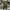 Army Green, variant on Afuyipoi Cargo Pants for Men, Elastic Waist Multi Pockets Straight Type Cargo Pants Trousers Khaki Size 2XL/(36.22'')