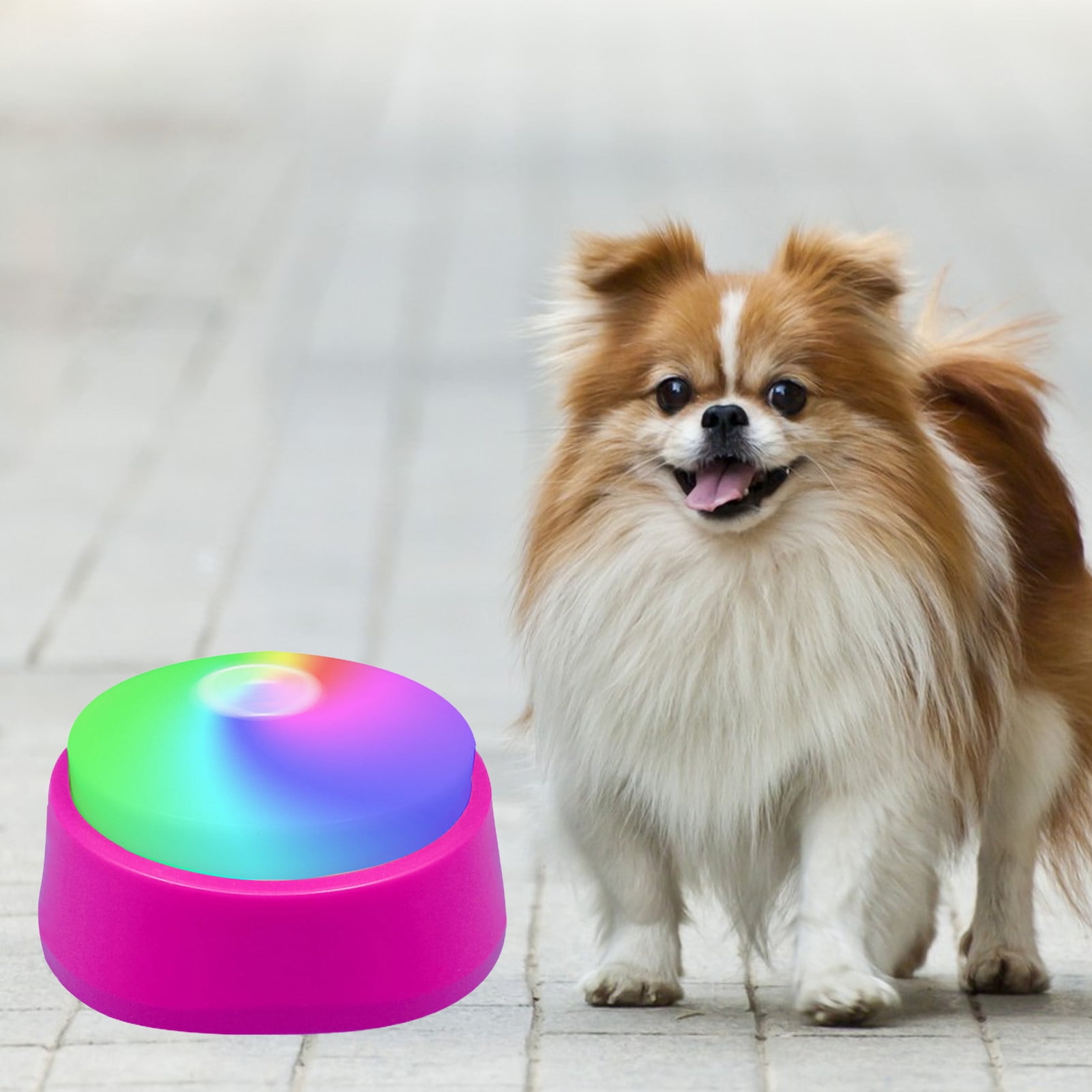 LYMAYTER Pet Sound Box Record Playback Communicating Entertain - Main Image