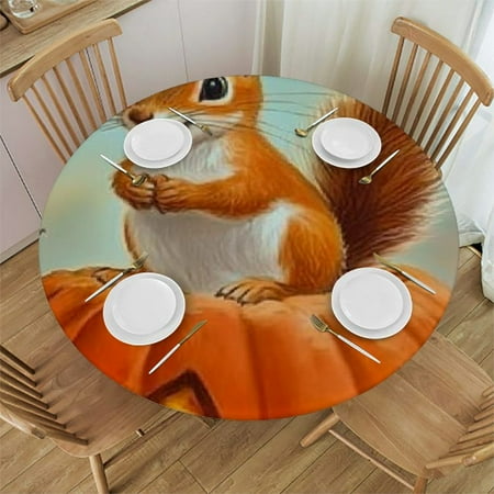 

Patifu Squirrel Pumpkin Fall Round Tablecloth Stain-Resistant Washable 100% Polyester Full Width Single-Sided Printing Outdoor Fitted 42 -46