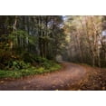 thumbnail image 2 of Head, Danny 24x18 Black Ornate Wood Framed with Double Matting Museum Art Print Titled - Mountain Road, 2 of 4