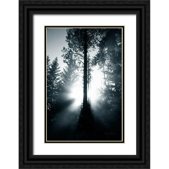Murdock, Ramona 13x18 Black Ornate Wood Framed with Double Matting Museum Art Print Titled - Light in the Forest