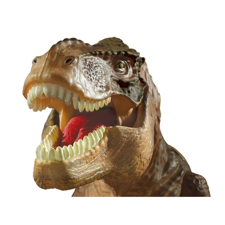T rex projector sales and room guard