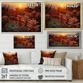 thumbnail image 4 of Designart "Sunset Hues In Cactus Field II" Succulent Floater Framed Wall Art Prints, 4 of 5