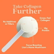 Further Food Hazelnut Collagen Peptides Powder