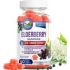 Fjord Naturals-Elderberry Gummies | 60 Count| Immune Support |Elderberry, Vitamin C, Echinacea & Propolis