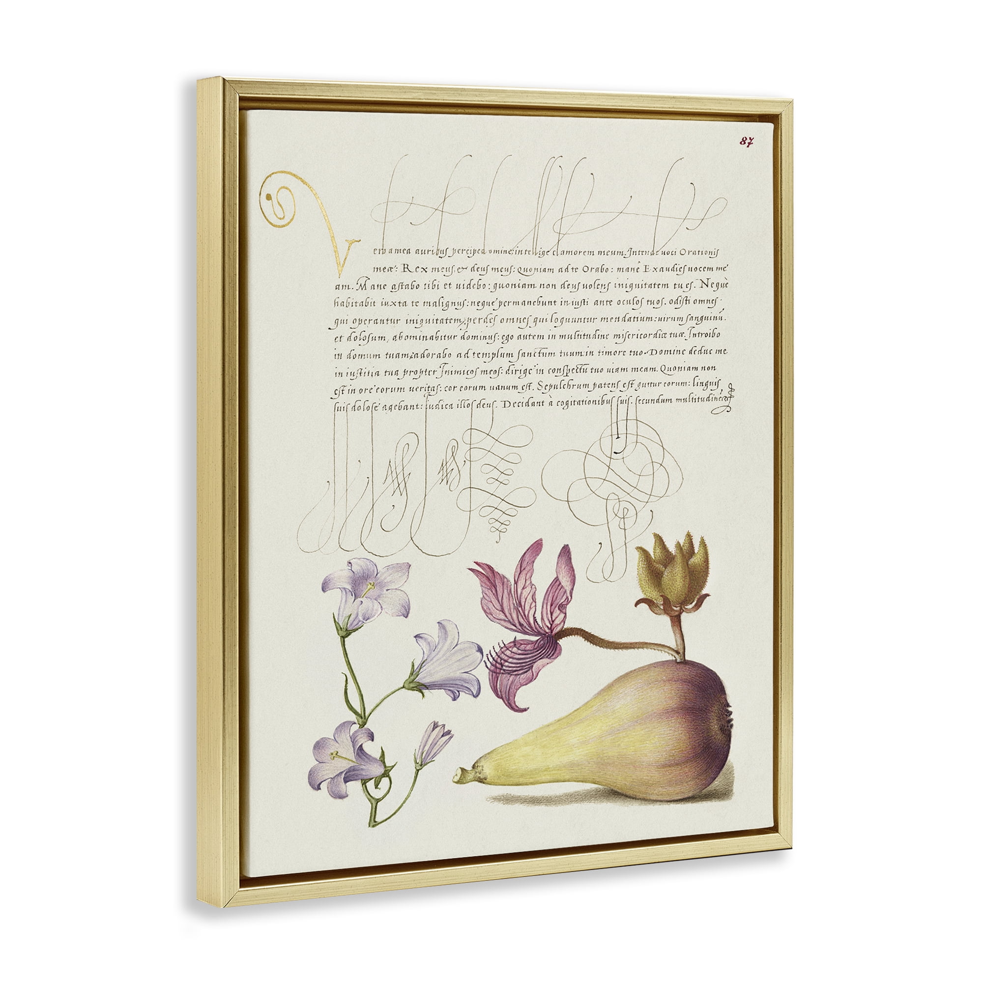 Stupell Industries Classical Cottage Plants Text & Numbers Painting Gold Floater Framed Canvas Art Print Wall Art, 25 x 31