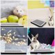 thumbnail image 2 of 2 Pcs Square Toilet Small Pet Litter Pan Chinchilla Toilet Litter Tray Rabbits Bunny Training Toilet, 2 of 2