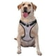 thumbnail image 1 of Fotbe Pink Flamingo Arnés para Perro con Estampado –Chaleco Ajustable Acolchado con Asa de Control para Perros Grandes-Small, 1 of 6