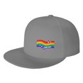 thumbnail image 1 of DouZhe Flat Brim Cap Snapback Hat, Rainbows Flag Prints Adjustable Gray Adult Baseball Cap, 1 of 6