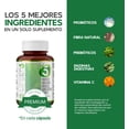thumbnail image 4 of PROBIÓTICOS 50 Billones con Enzimas Digestivas Lifeed5 60 cápsulas. LIFEED5 PROBIOTICS, 4 of 7