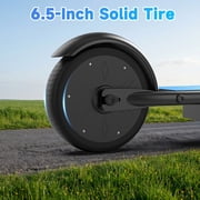 Electric Scooter for Kids Ages 6–14, 250W Motor, Up to 10 Miles Range, 9 MPH, Lightweight Foldable Kids Electric Scooter for Boys/Girls