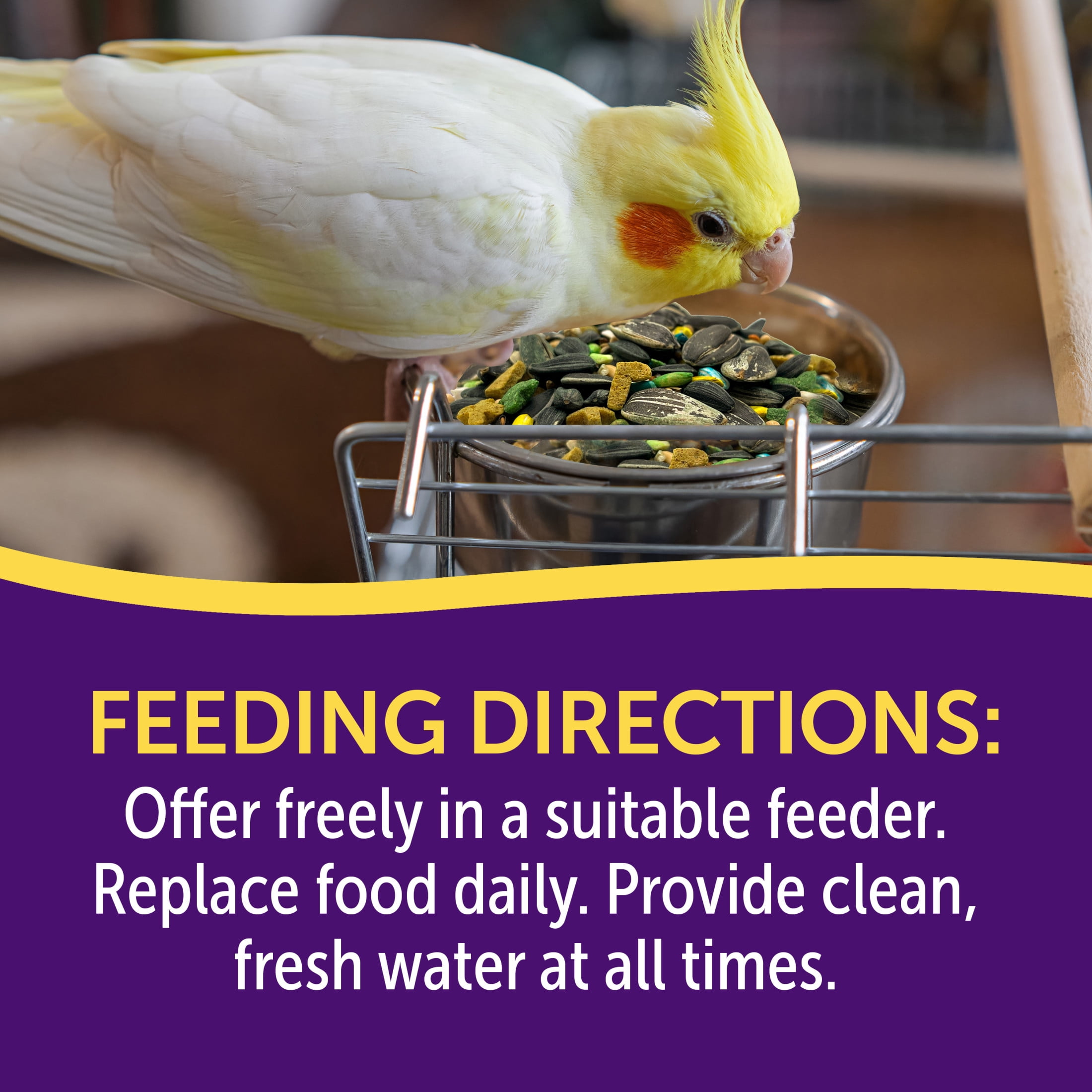 (3 pack) 3-D Pet Products Premium Cockatiel Bird Food Seeds, with Probiotics, 4.5 lb. Stay Fresh Jar