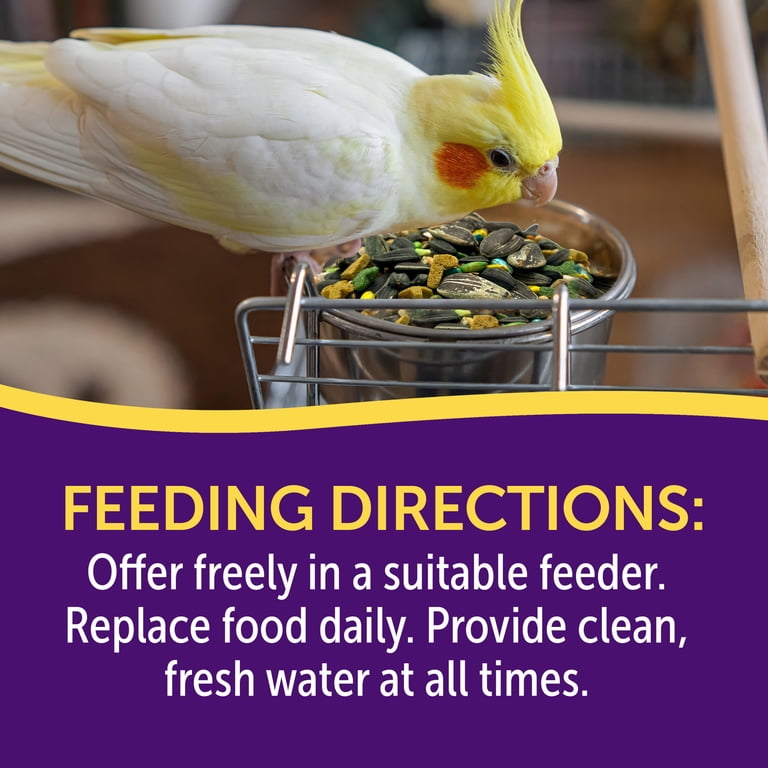 3-D Pet Products Premium Cockatiel Bird Food, 4.5 lb Stay Fresh Jar photo 5