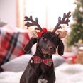 thumbnail image 4 of Mumup Christmas Dog Collar with Bow, Adjustable Red Green Plaid Dog Collars with Removable Bowtie Christmas Collars for Large Dogs Pets, 4 of 5