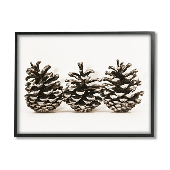 Stupell Industries Three Pinecones Nature Botanical & Floral Photography Black Framed Art Print Wall Art, 14 x 11