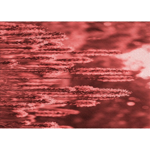 Ahgly Company Indoor Rectangle Patterned Valentine Red Area Rugs, 2' x 4'