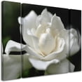 thumbnail image 2 of Trademark Fine Art ''Lovely Gardenia'' by Kurt Shaffer 24" x 32" Multi Panel Art Set Small (886511916739), 2 of 3