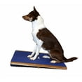 thumbnail image 2 of FitPAWS® Giant Rocker Board (30" x 30") for Dog Fitness and Agility, 2 of 4