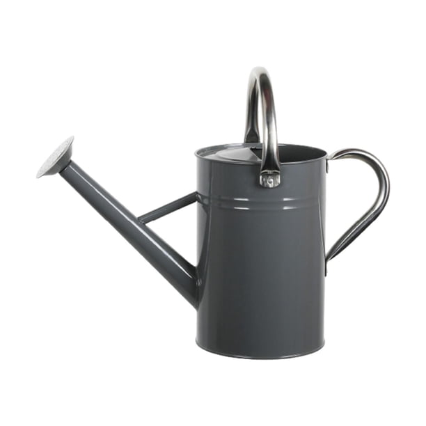 Regadera de acero inoxidable de 5 l para uso interior y exterior con pulverizador fino. gris