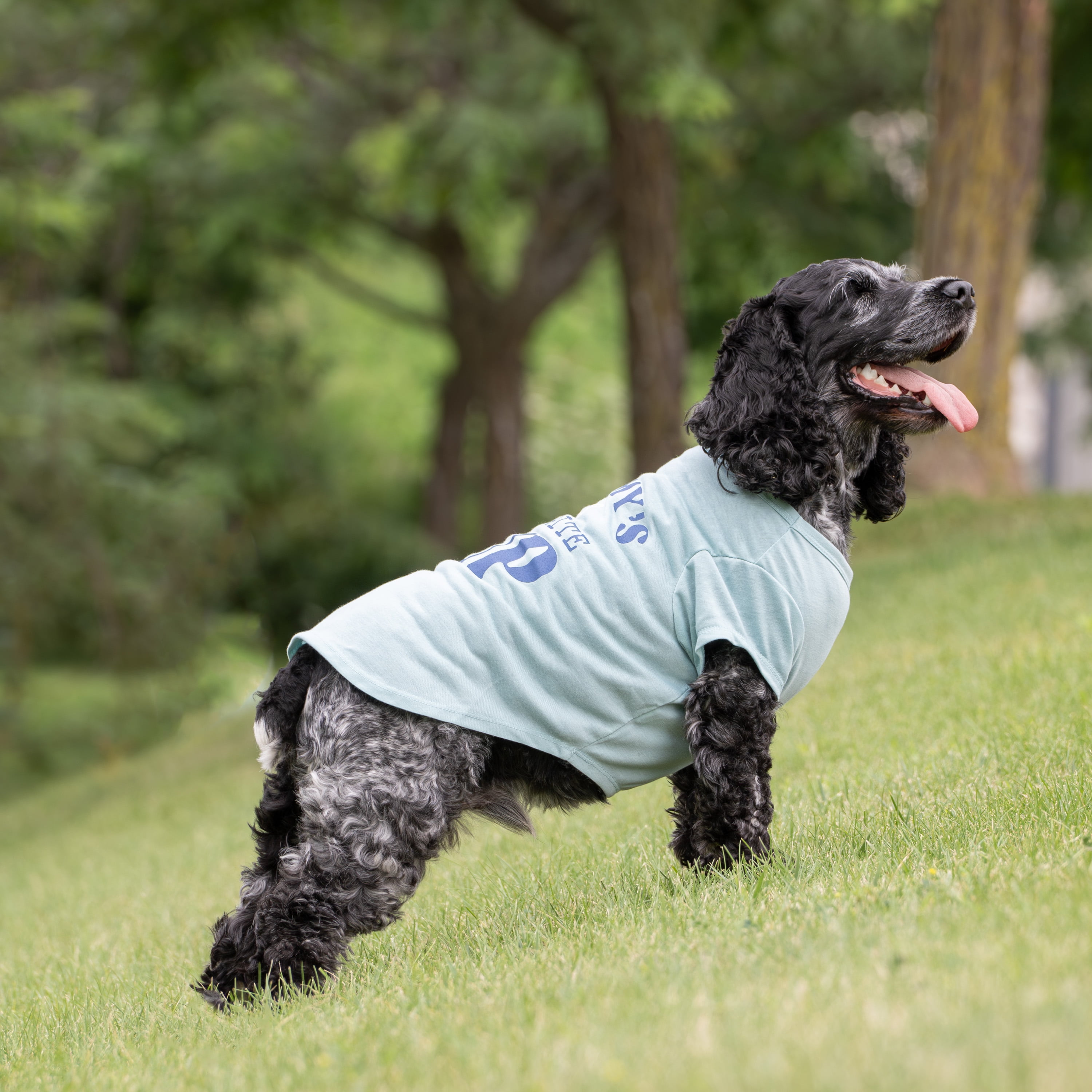 Vibrant Life Mommy's Favorite Pup Dog T-Shirt, Blue, Small