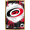 Gold Framed Version, variant on NHL Carolina Hurricanes - Maximalist Logo 23 Wall Poster with Push Pins, 22.375" x 34"