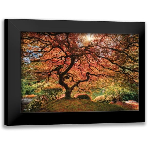 Levy, Moises 14x11 Black Modern Framed Museum Art Print Titled - First Colors of Fall I
